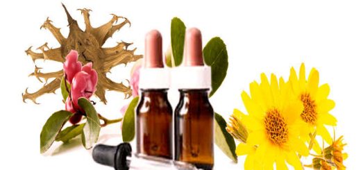 aceites antiinflamatorios que funcionan bien